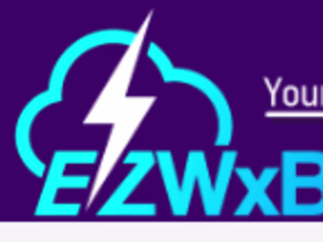 Cover image for EZWxBrief 