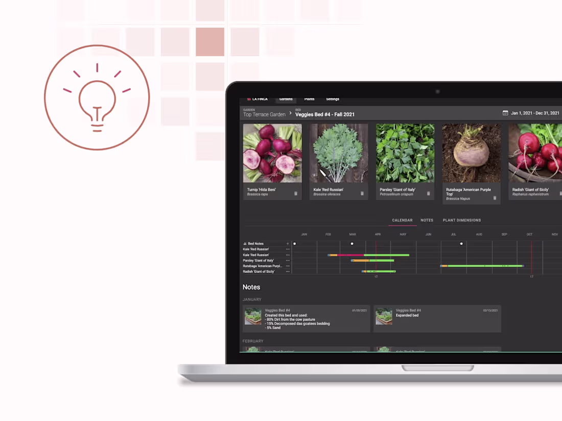 Cover image for Website Creation