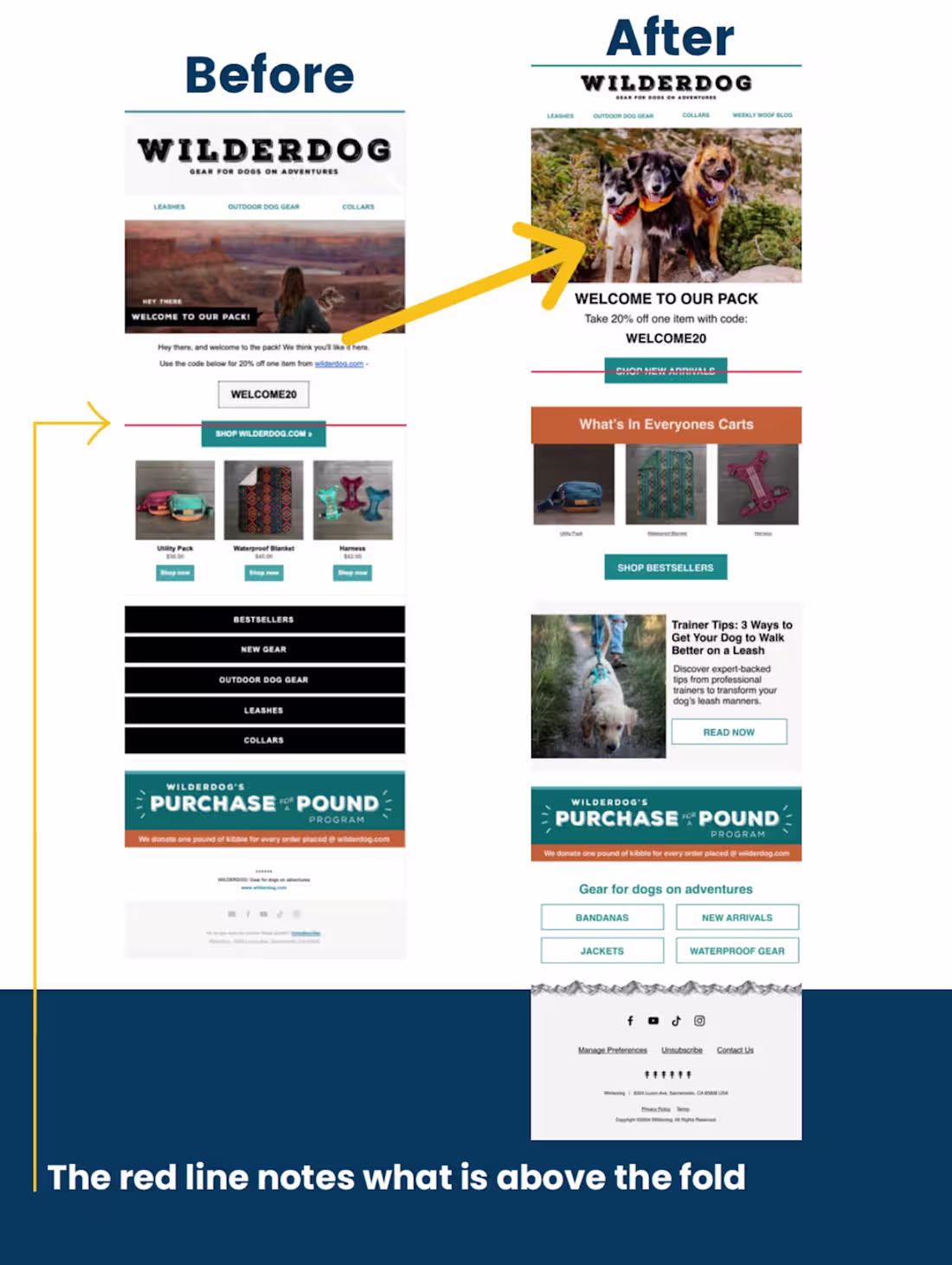 Cover image for Wilderdog offers durable, adventure-ready gear