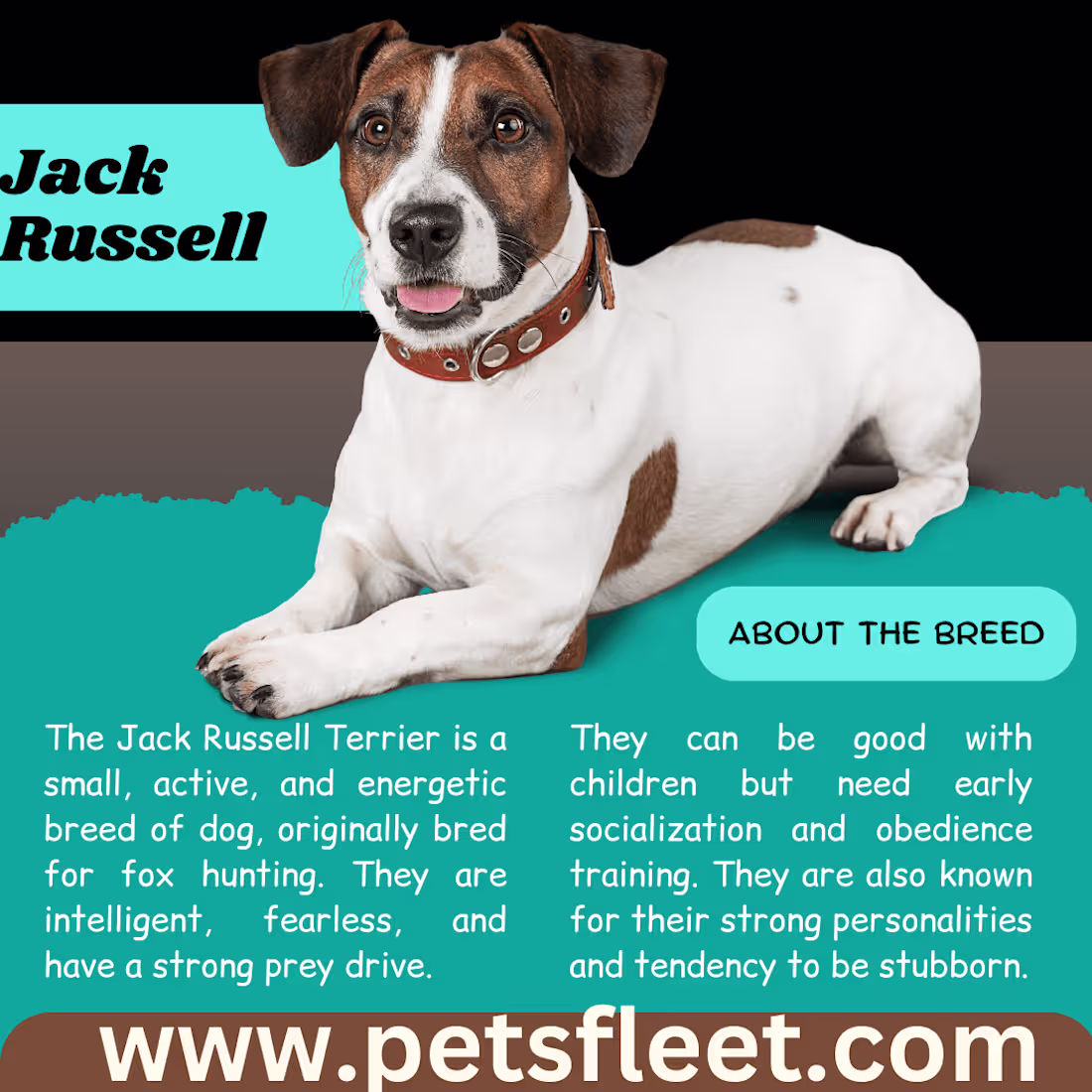 Cover image for infgraphics design 