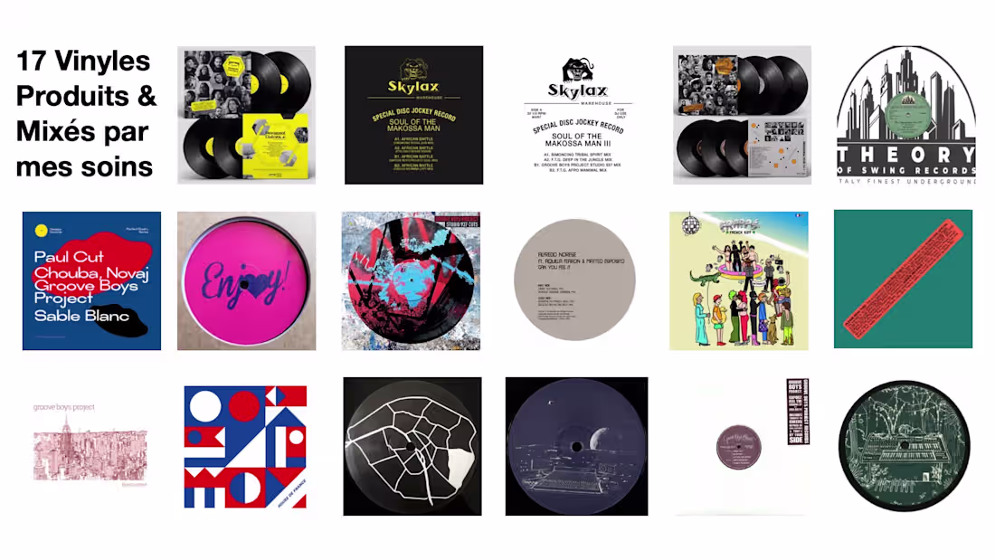 Cover image for 17 Vinyl Records Produced &