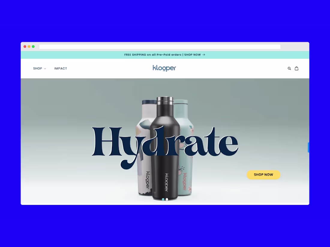 Cover image for A High-Performing Shopify eCommerce Website Generating Over $10k