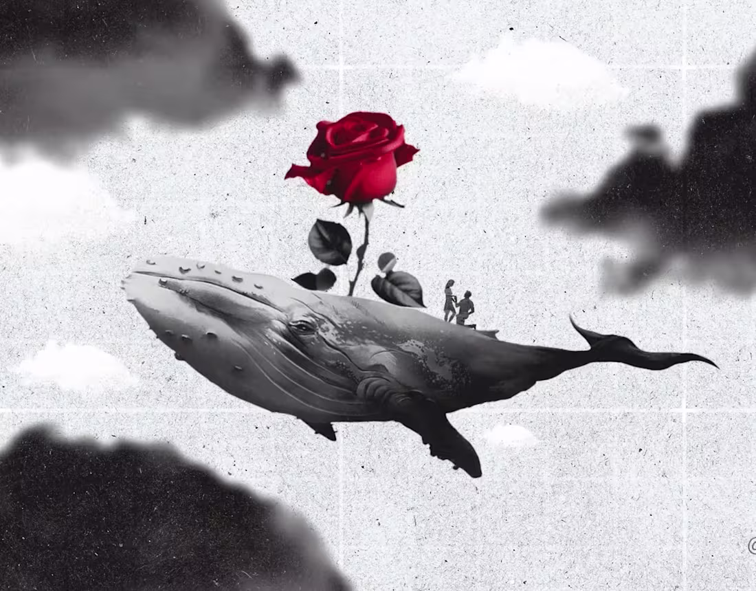 Cover image for RETRO/ COLLAGE ANIMATION