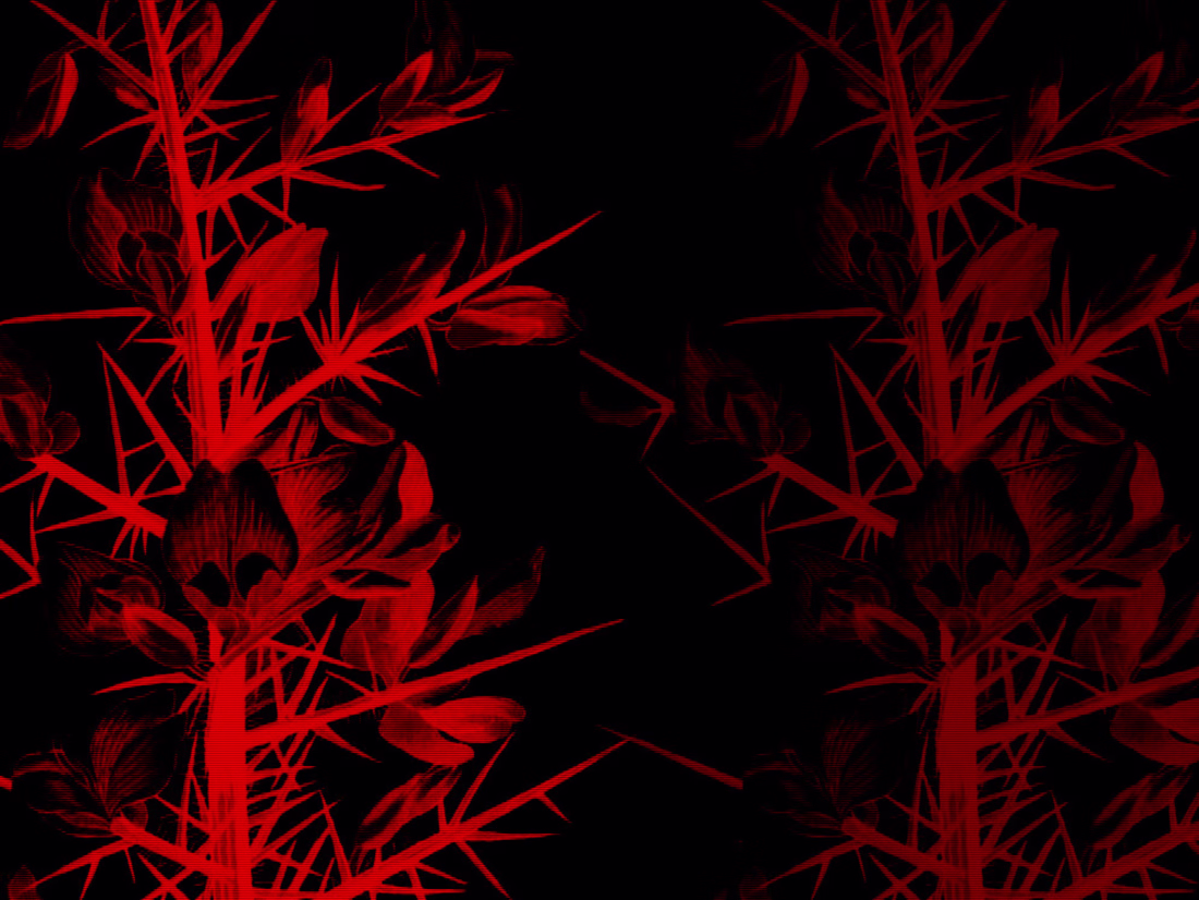 Cover image for ulexproject.org