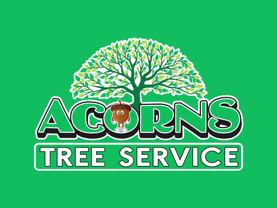 Cover image for Social Media