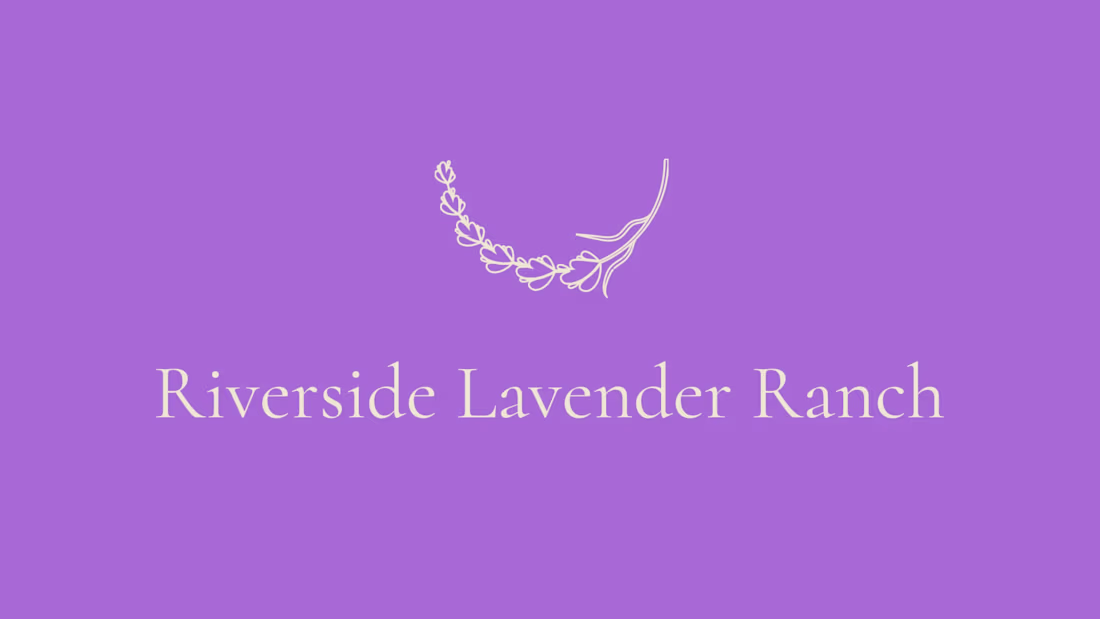 Cover image for Riverside Lavender Ranch Branding and Website