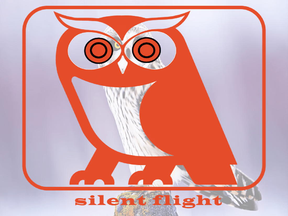 Cover image for professional minimalist logo design