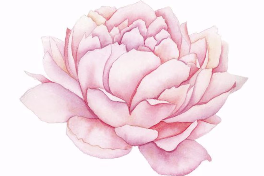 Cover image for Brave New Ebby