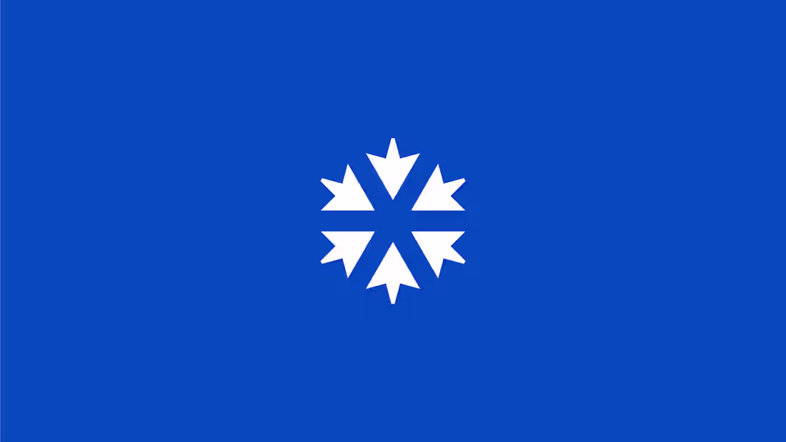 Cover image for Bulk Supply Branding on Behance