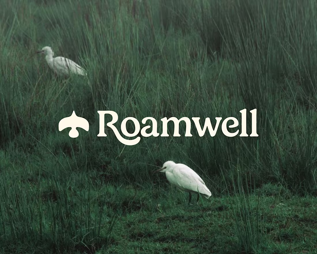 Cover image for Brand Identity for Roamwell