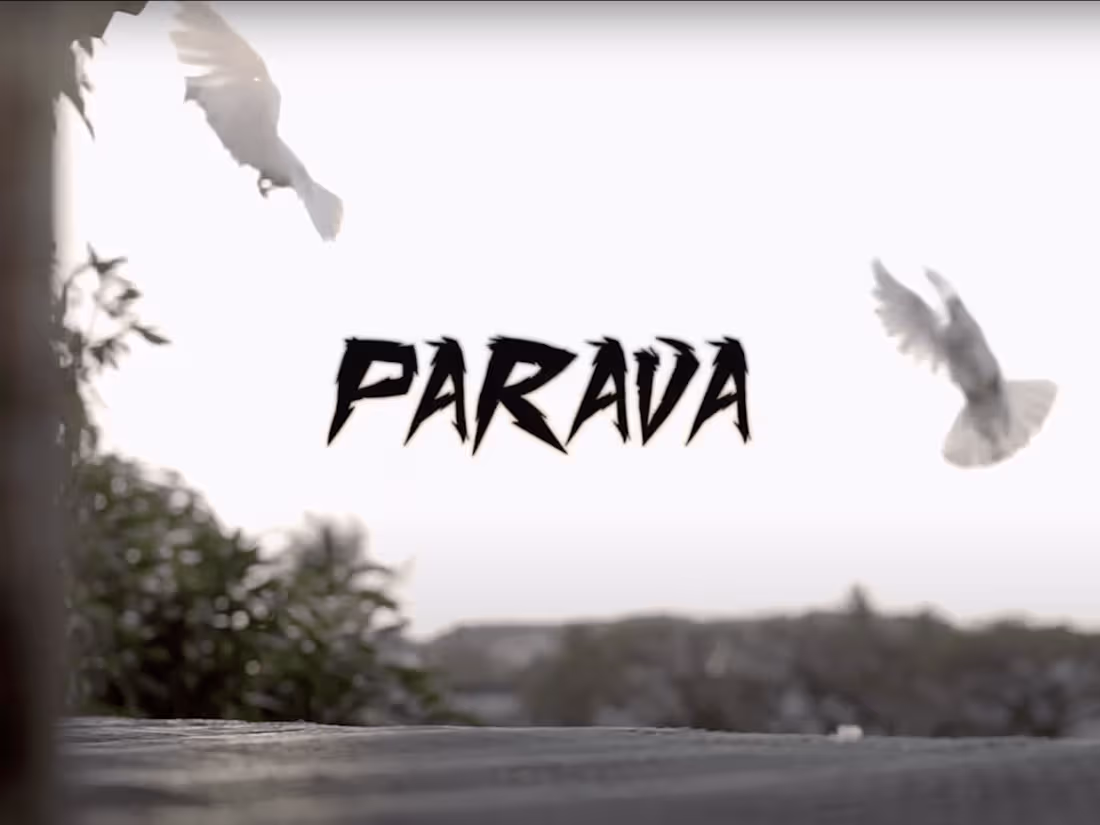 Cover image for Music Video 