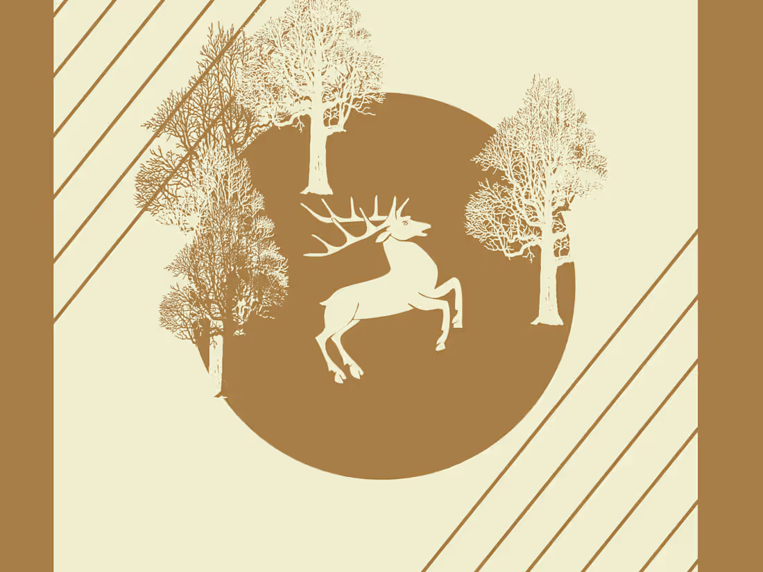 Cover image for Christmas Came Early 