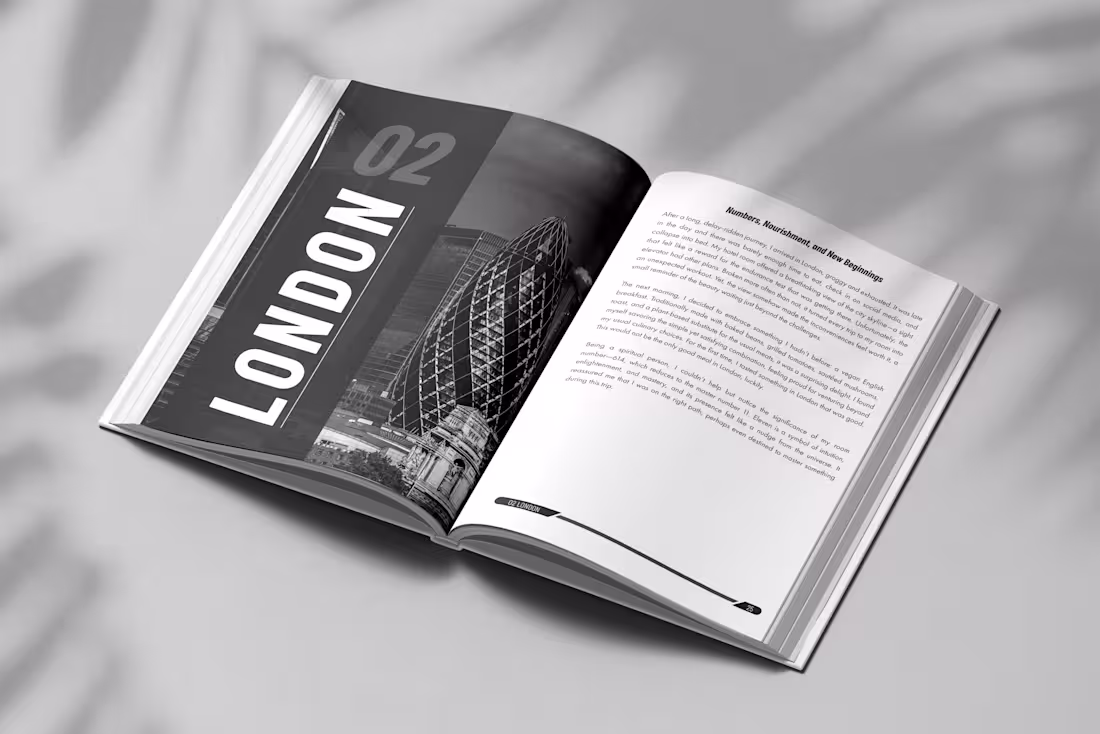 Cover image for TRAVEL BOOK DESIGN