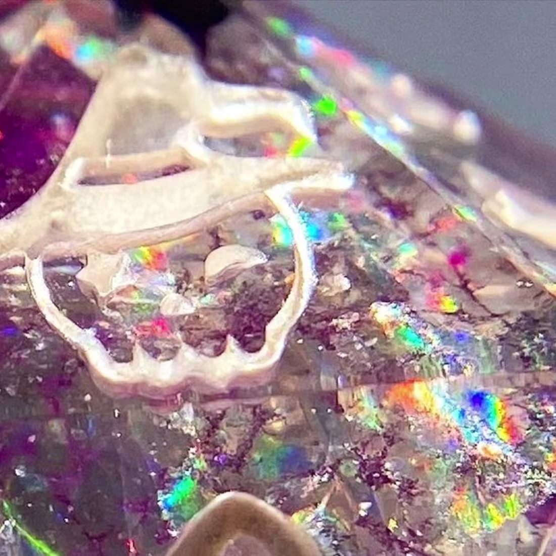 Cover image for Privi’s Potions on Instagram: ”#throwbackthursday to some of my…