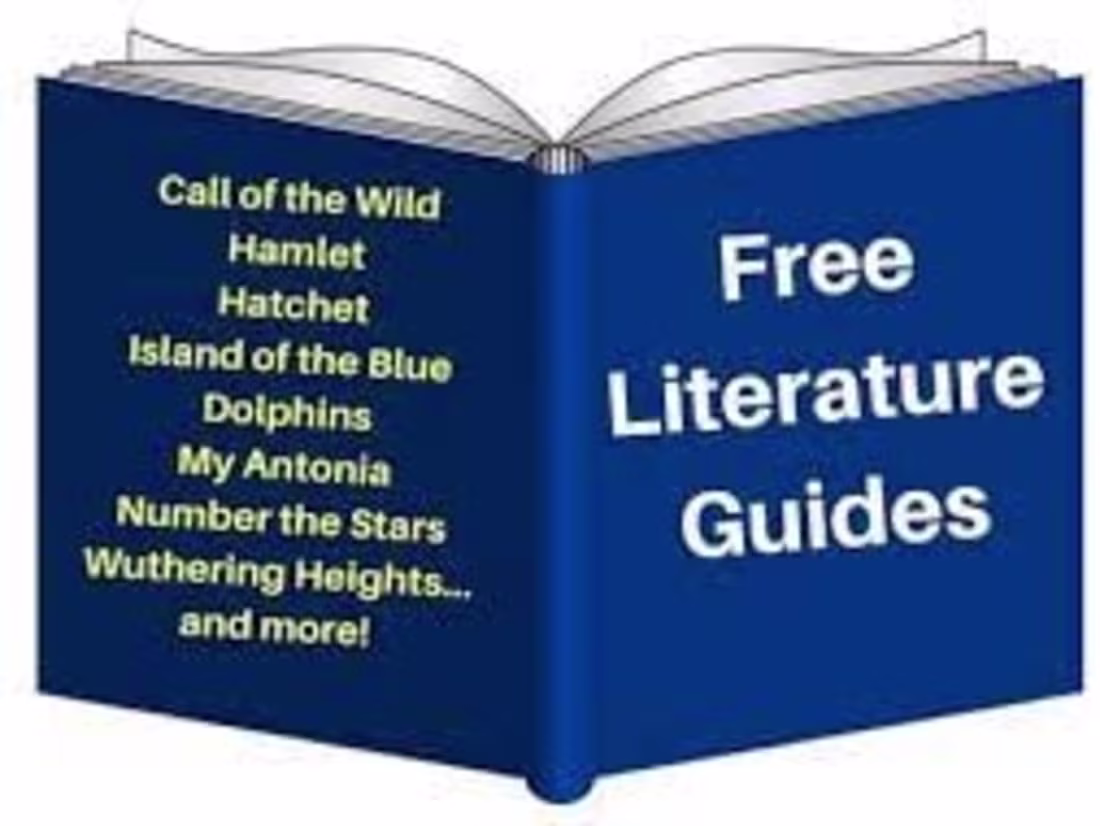 Cover image for Literature Study Guide: How to Analyze and Interpret Literary 