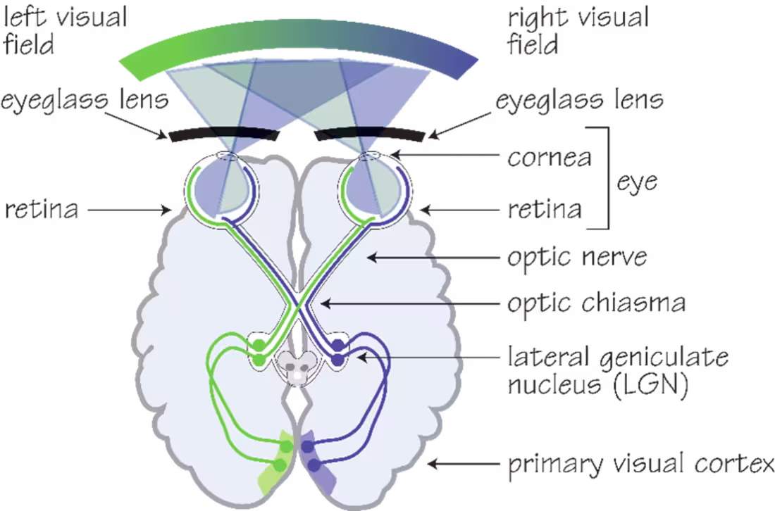 Cover image for Scientific Literature Review