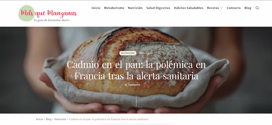 Cover image for Health content requires more than