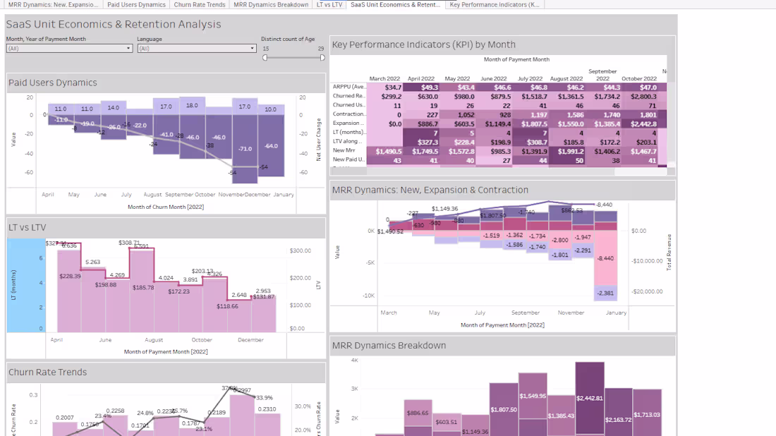 Cover image for Developed a comprehensive SaaS analytics