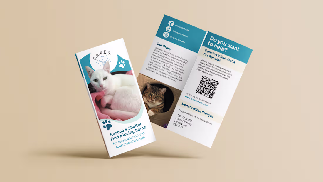 Cover image for CARES Brochure Revitalization