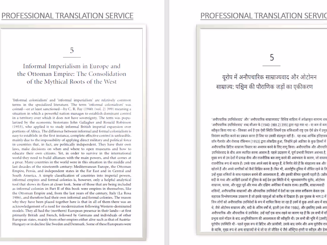 Cover image for professional translator