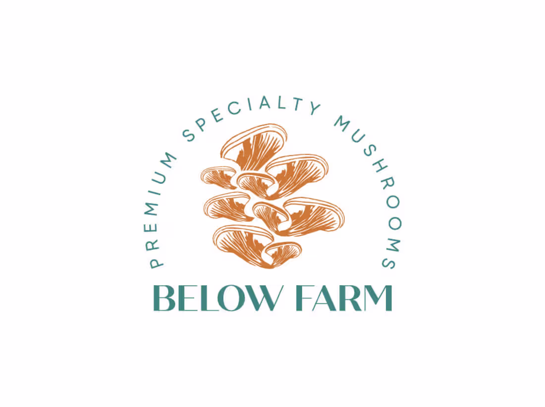 Cover image for full visual brand development I Below Farm