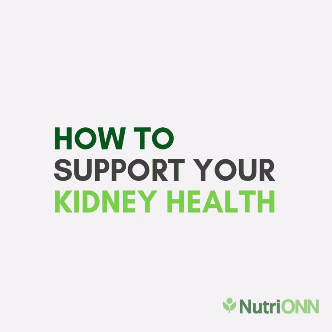 Cover image for How To Support Your Kidney Health