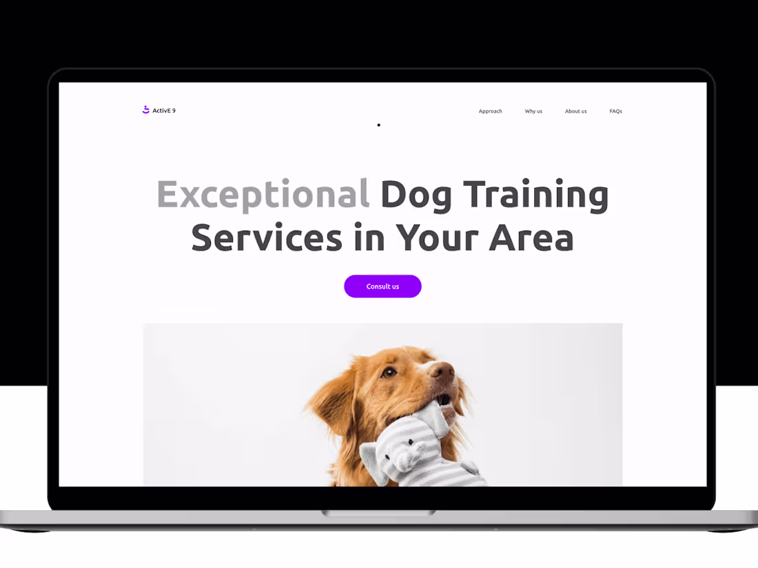 Cover image for Will design your website 