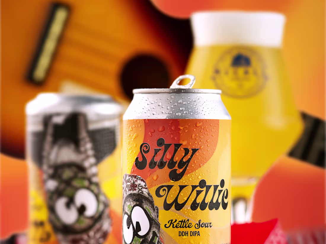 Cover image for One Hop Wonders Series