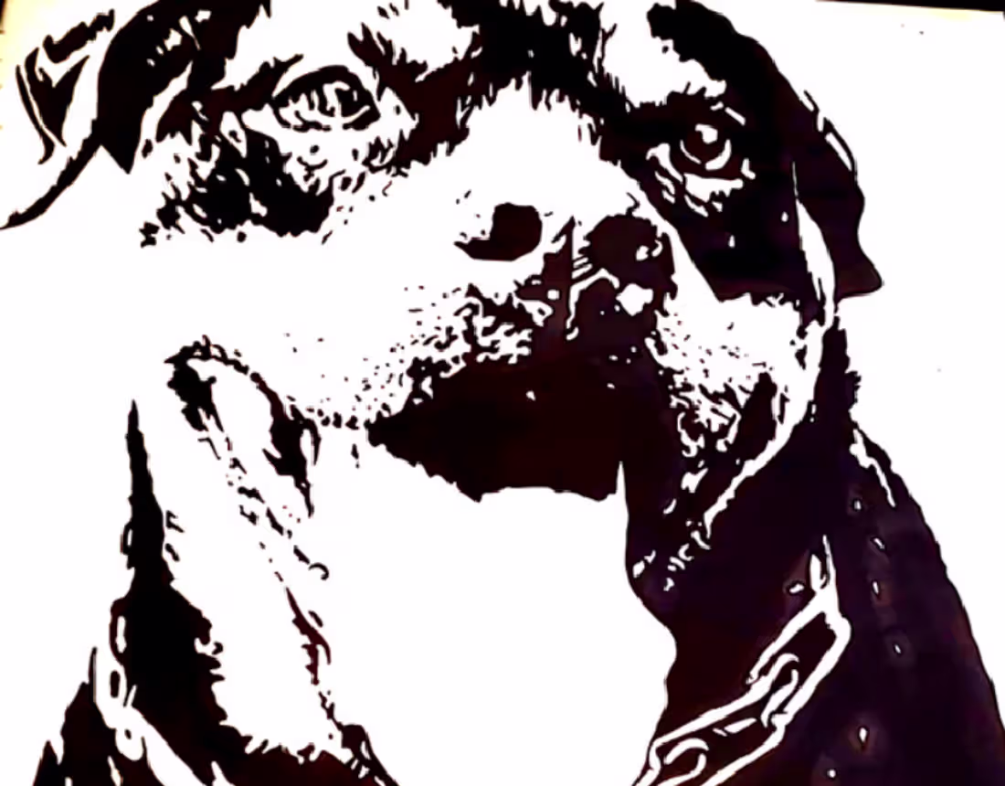 Cover image for Black and White Paintings