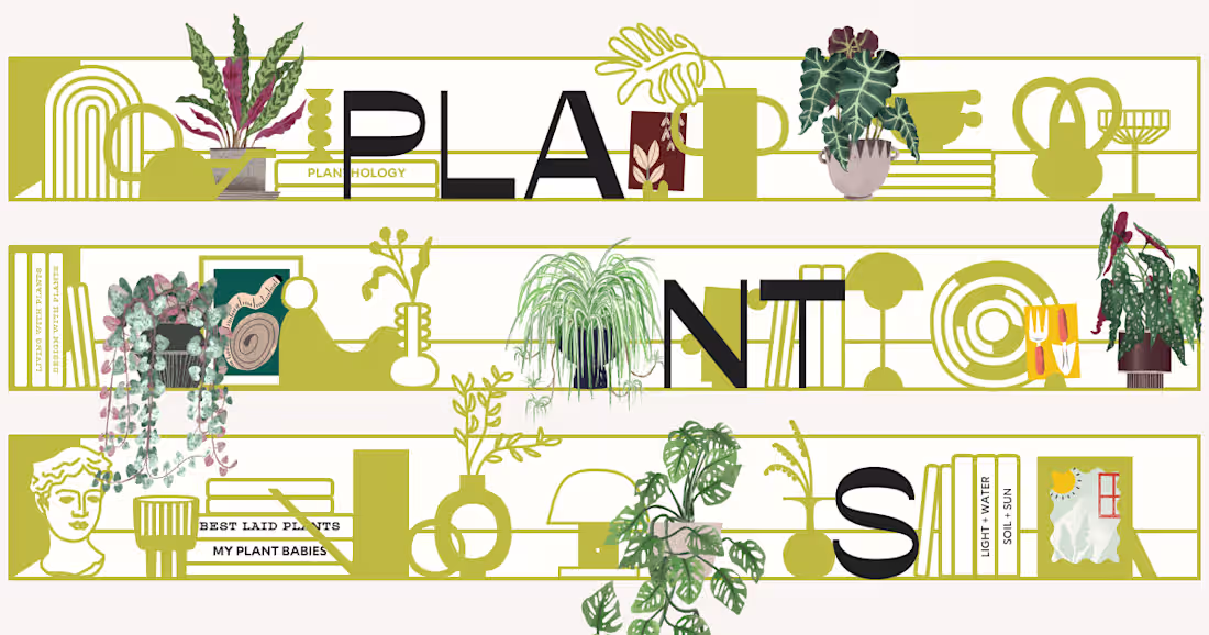 Cover image for How Many Plants - Indoor and House Plant Resource