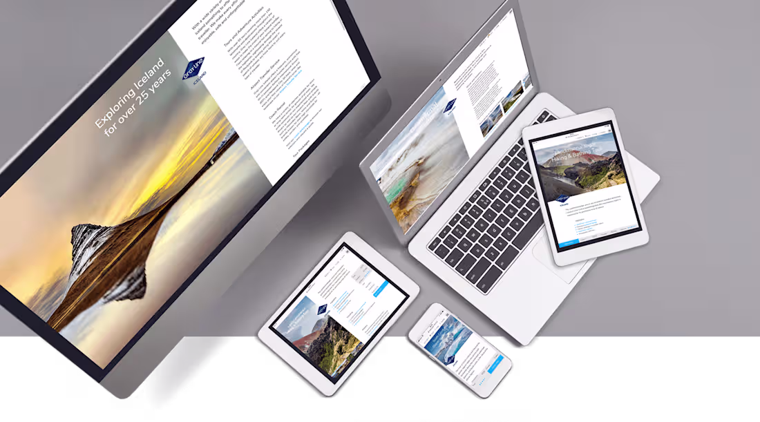 Cover image for Gray Line 