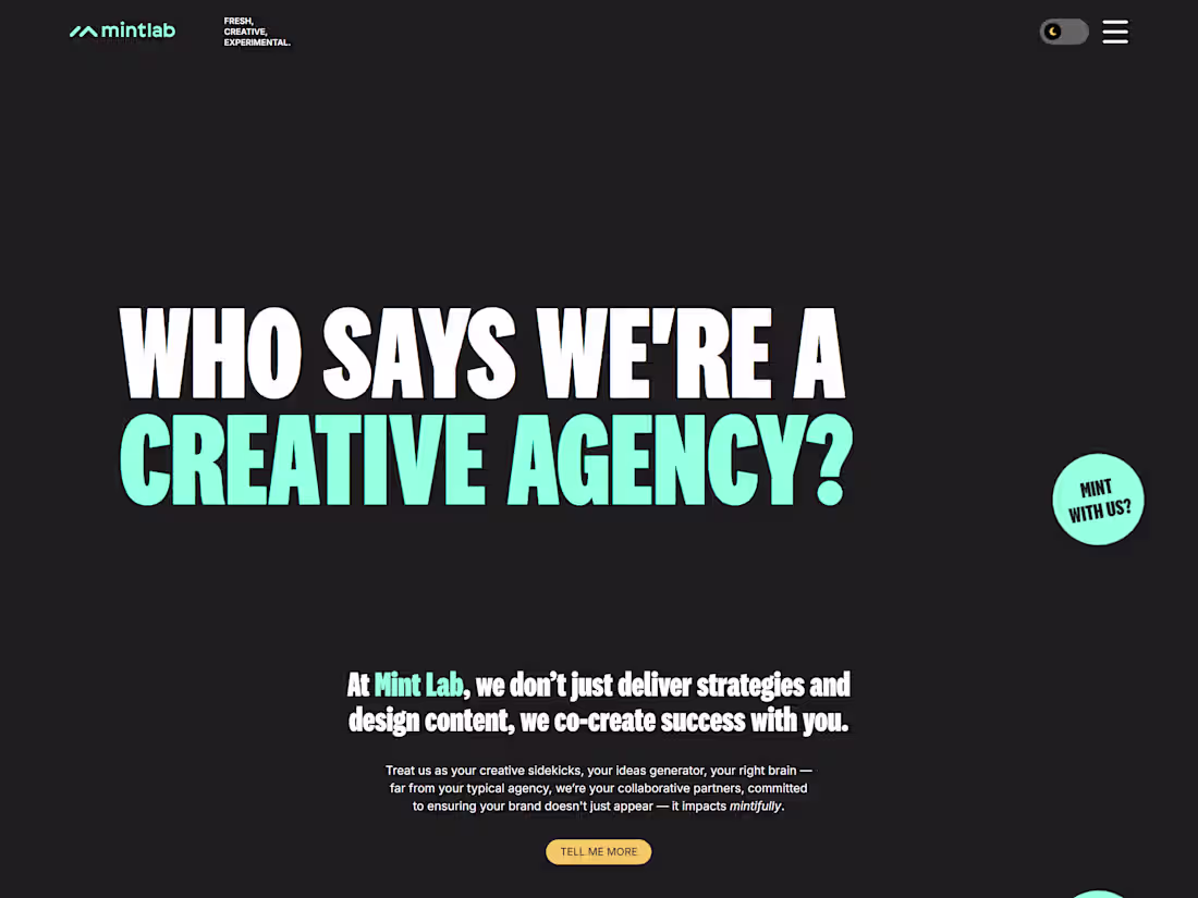 Cover image for Mintlab