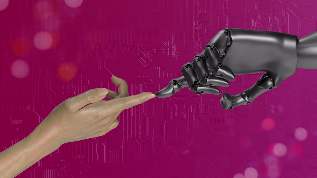 Cover image for Lead Magnet Funnel Auto-Bot