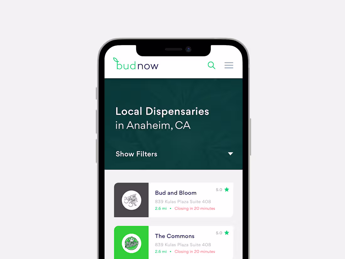 Cover image for Budnow: Cannabis Delivery Marketplace