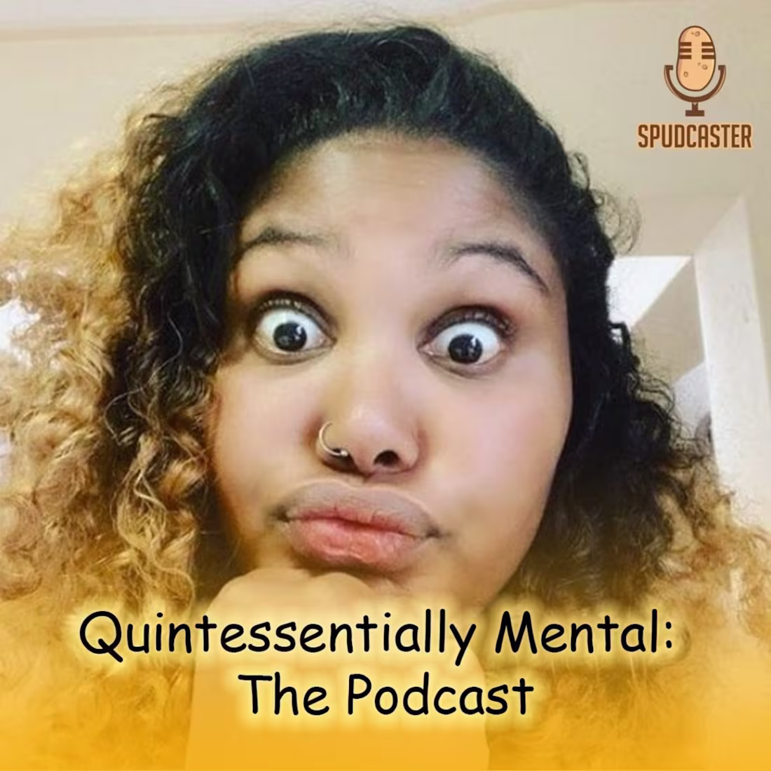 Cover image for Quintessentially Mental