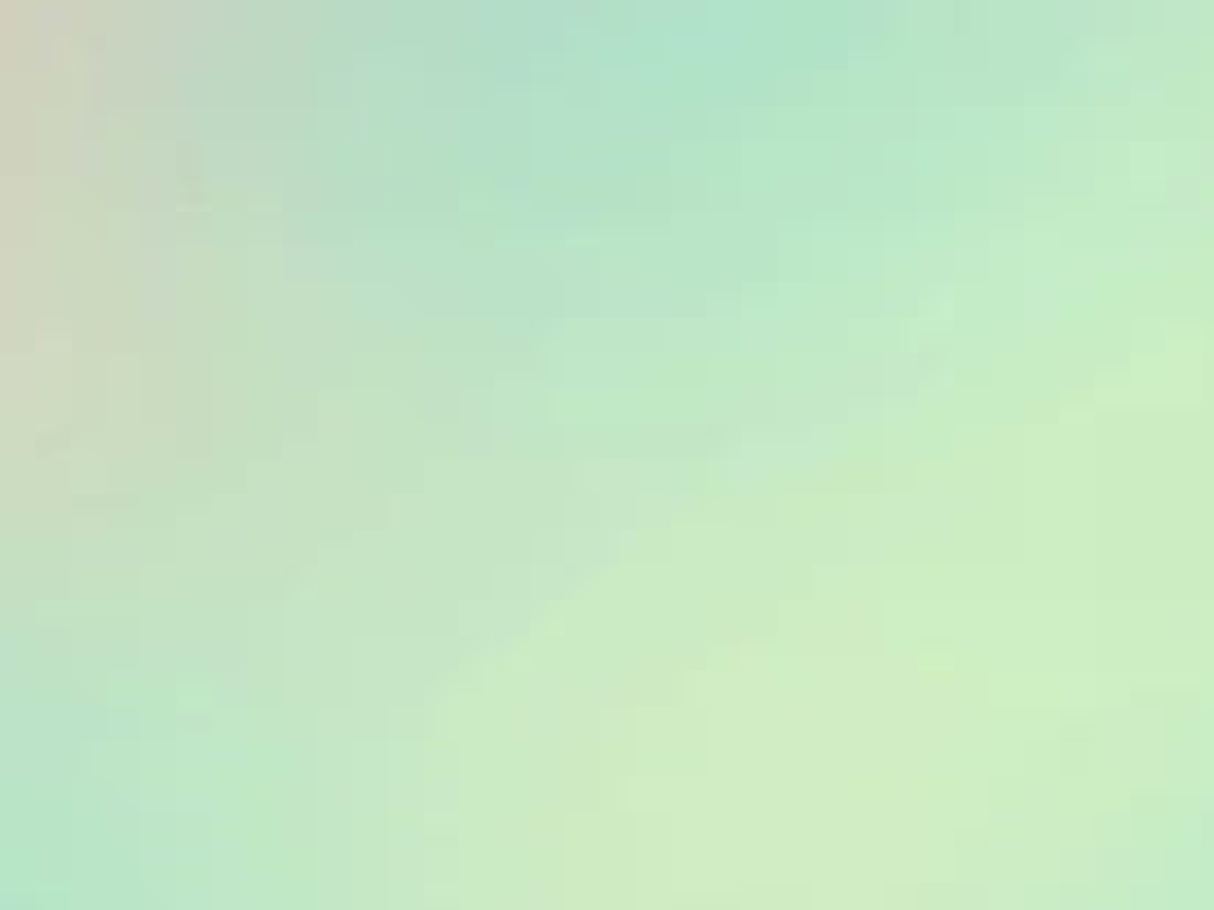 Cover image for Shopify Managed Services