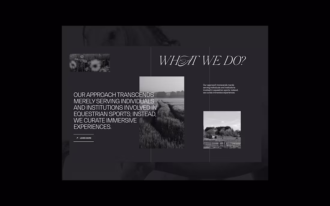 Cover image for Equine Design Studio