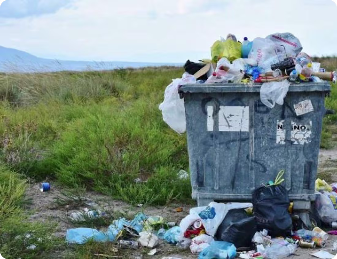 Cover image for Waste-ED App