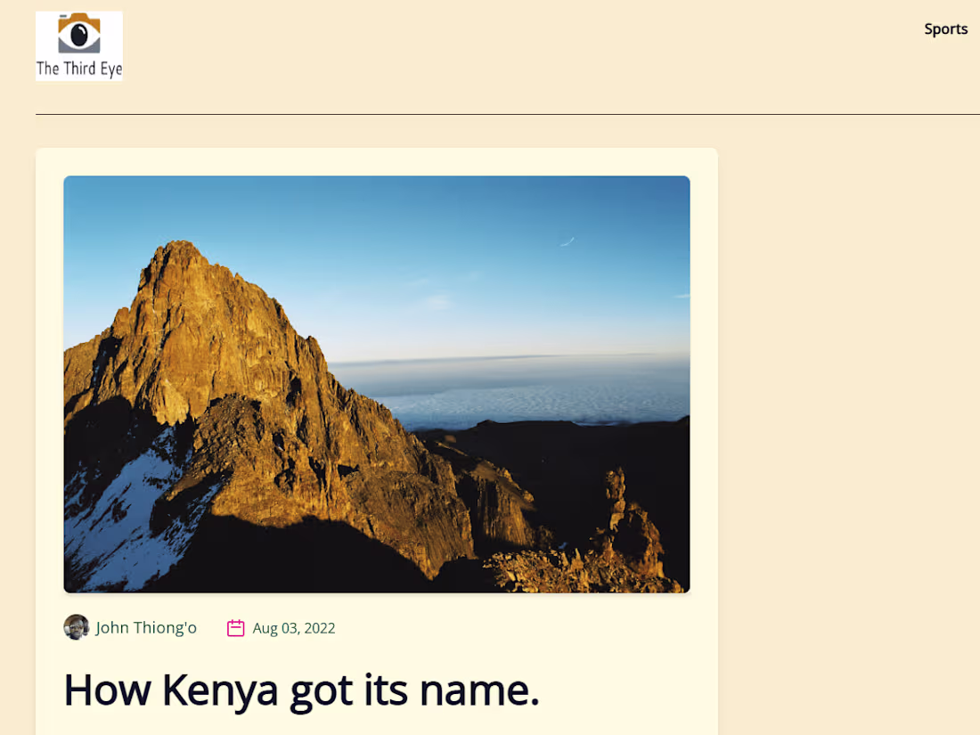 Cover image for Frontend Developer, The ThirdEye Africa