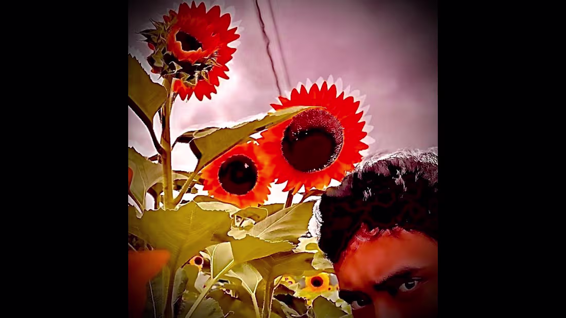 Cover image for Washed Up Falling Stars ( how pop songs be nowadays ) - YouTube