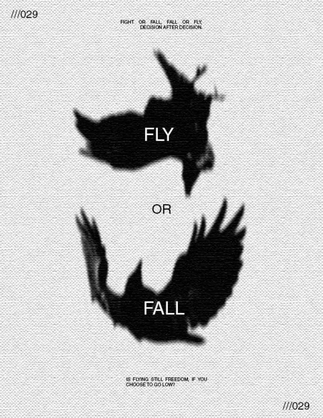 Cover image for bird post for thought