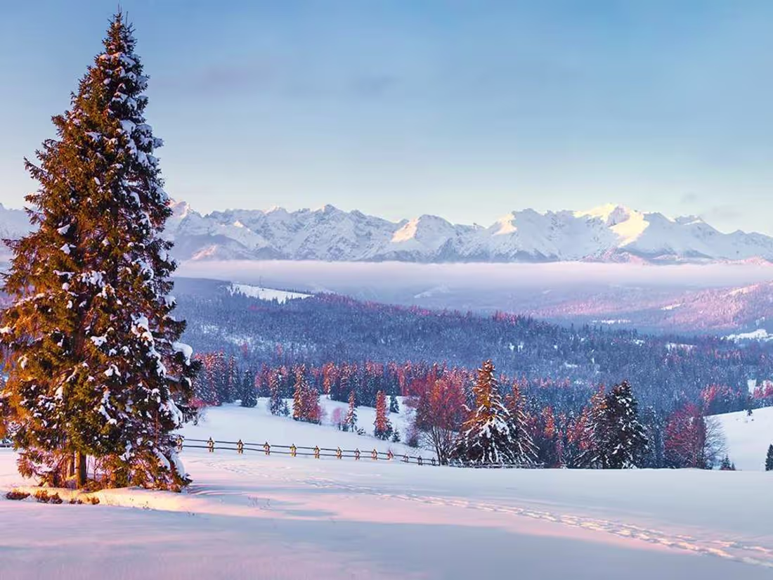 Cover image for The Travelzoo guide to winter holidays