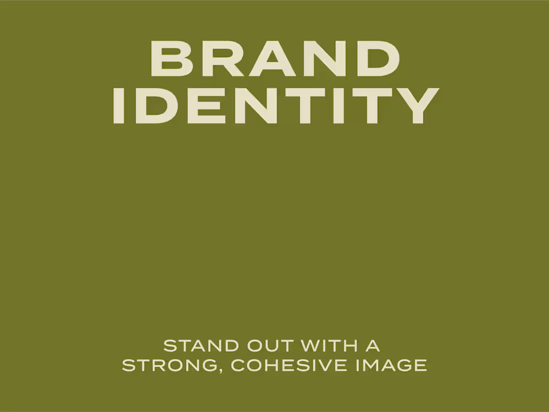 Cover image for Brand Visual Identity