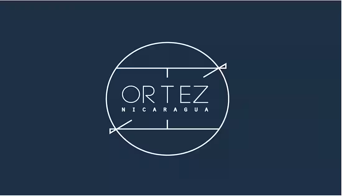 Cover image for Brand Development for Ortez