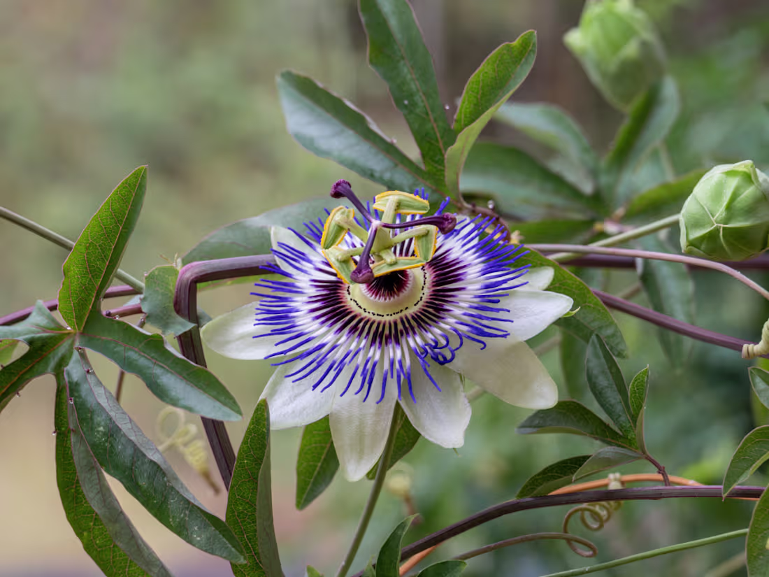 Cover image for Your All-In-One Health & Wellness Writing Solution