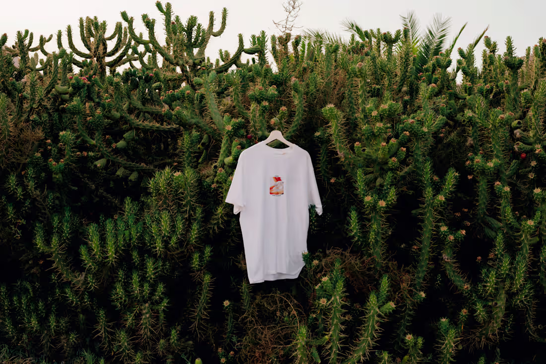 Cover image for Averix Apparel