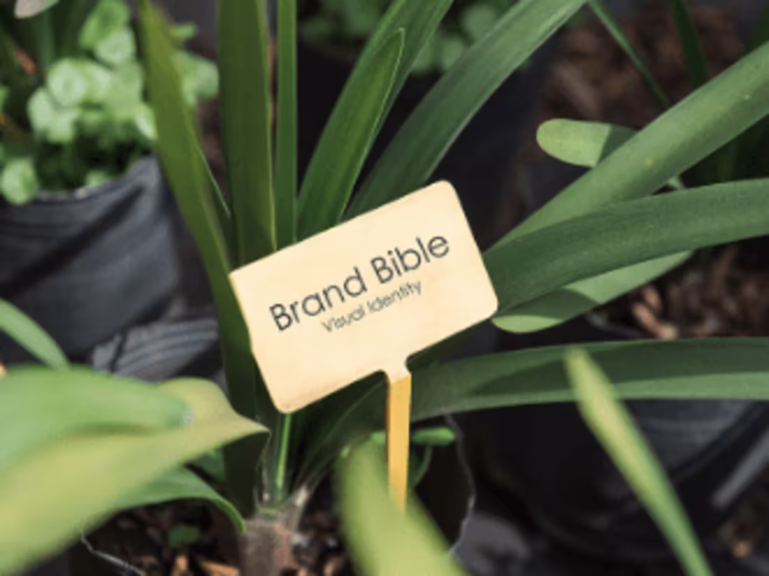 Cover image for Brand Bible