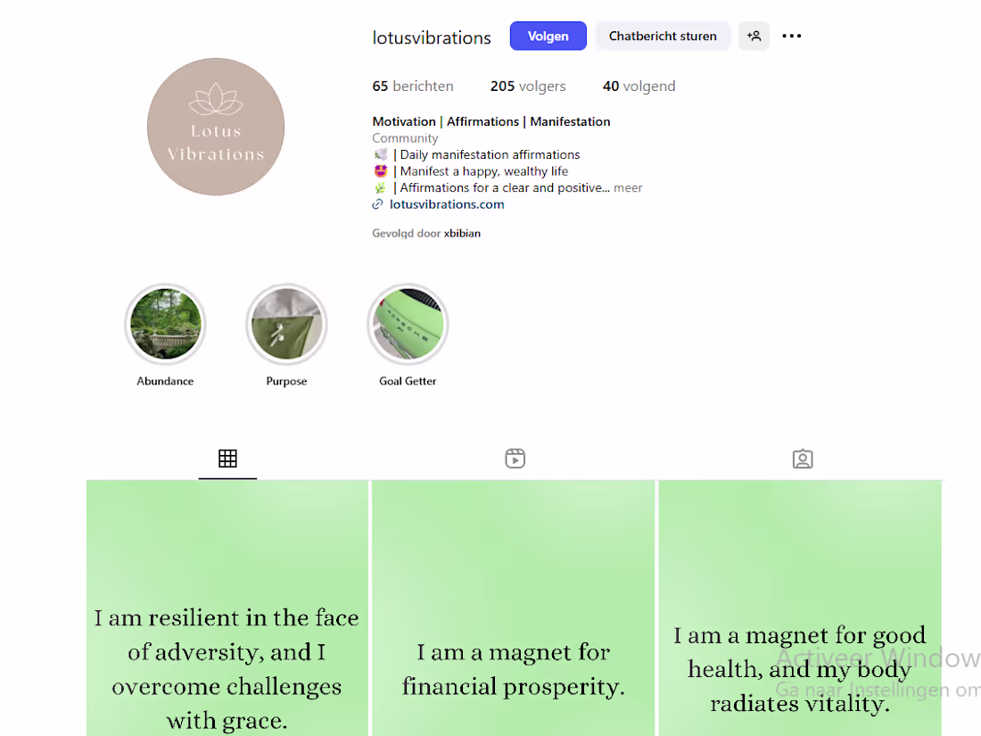 Cover image for Lotus Vibrations | Instagram Management