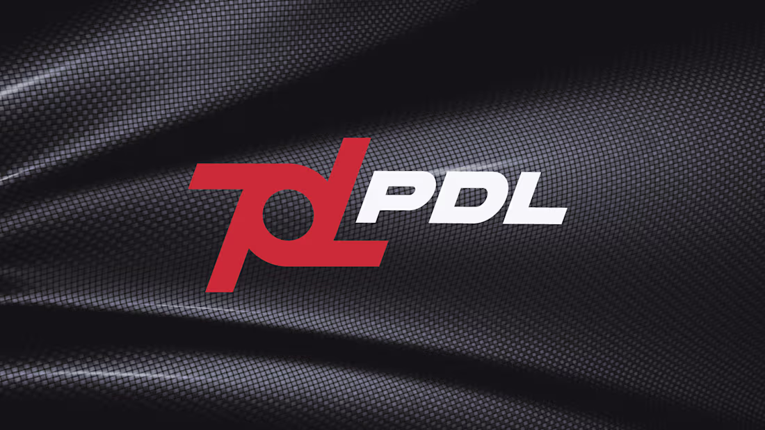 Cover image for PDL | Logo Design & Brand Identity