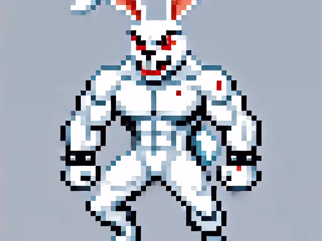 Cover image for Fight To Code